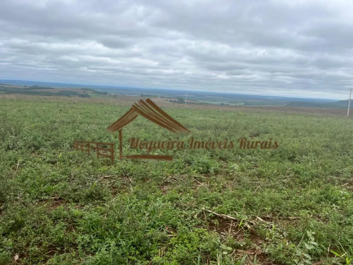 Fazenda à venda de 847 ha em Avaré, SP, Brasil