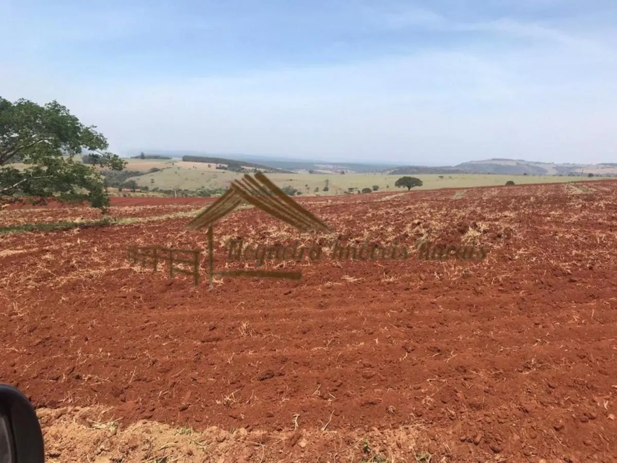 Fazenda à venda de 847 ha em Avaré, SP, Brasil