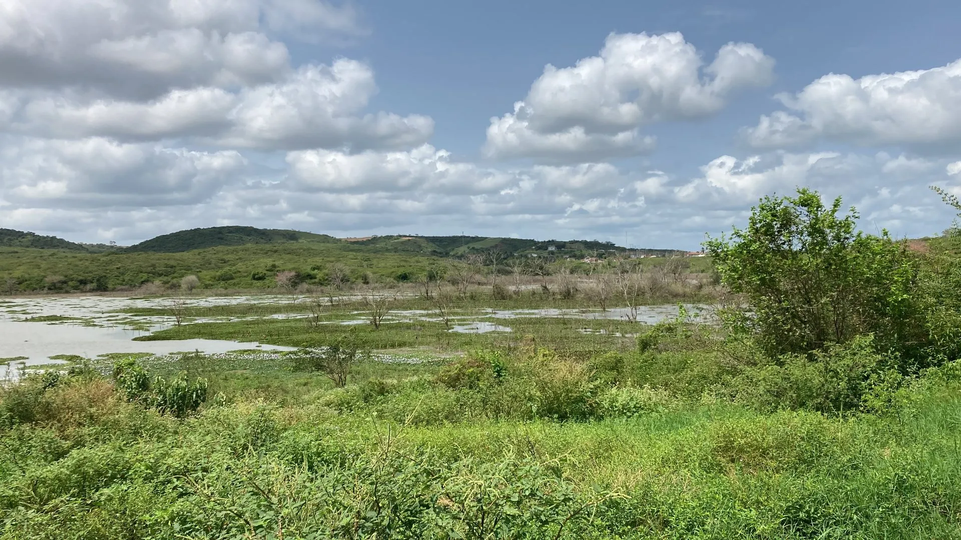 Fazenda à venda de 120 ha em São Brás, AL, Brasil