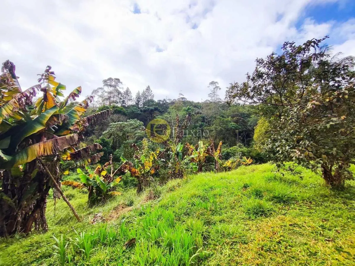 Small farm for sale of 76 acres in Mogi das Cruzes, SP, Brazil
