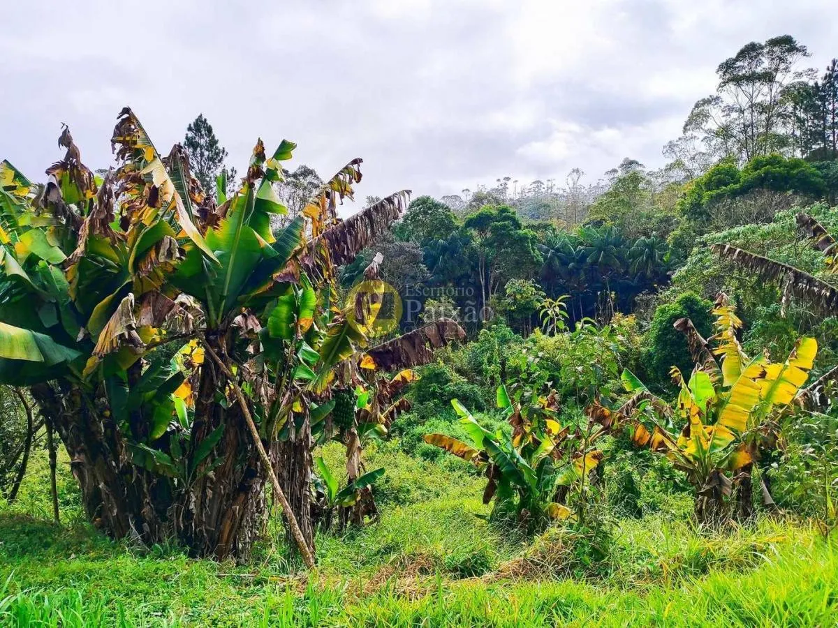 Small farm for sale of 76 acres in Mogi das Cruzes, SP, Brazil