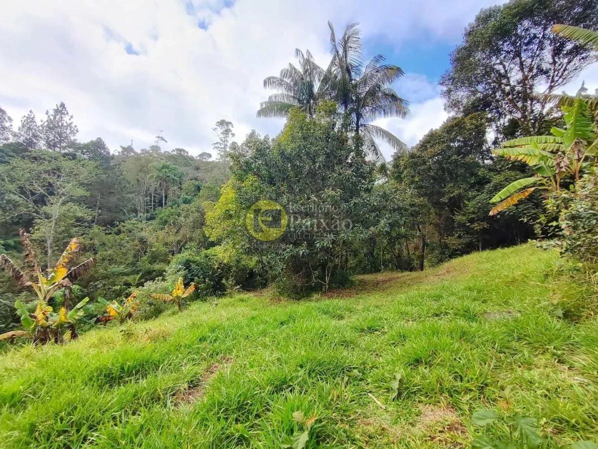 Small farm for sale of 76 acres in Mogi das Cruzes, SP, Brazil