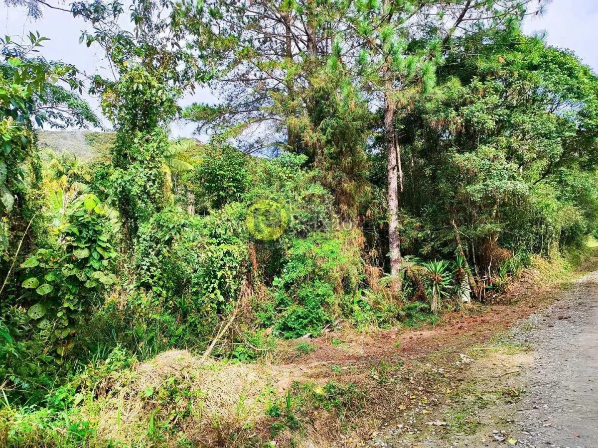 Small farm for sale of 76 acres in Mogi das Cruzes, SP, Brazil