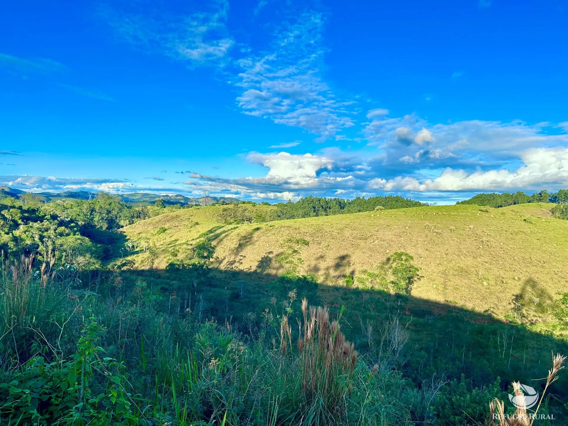 Fazenda à venda de 171 ha em Igaratá, SP, Brasil
