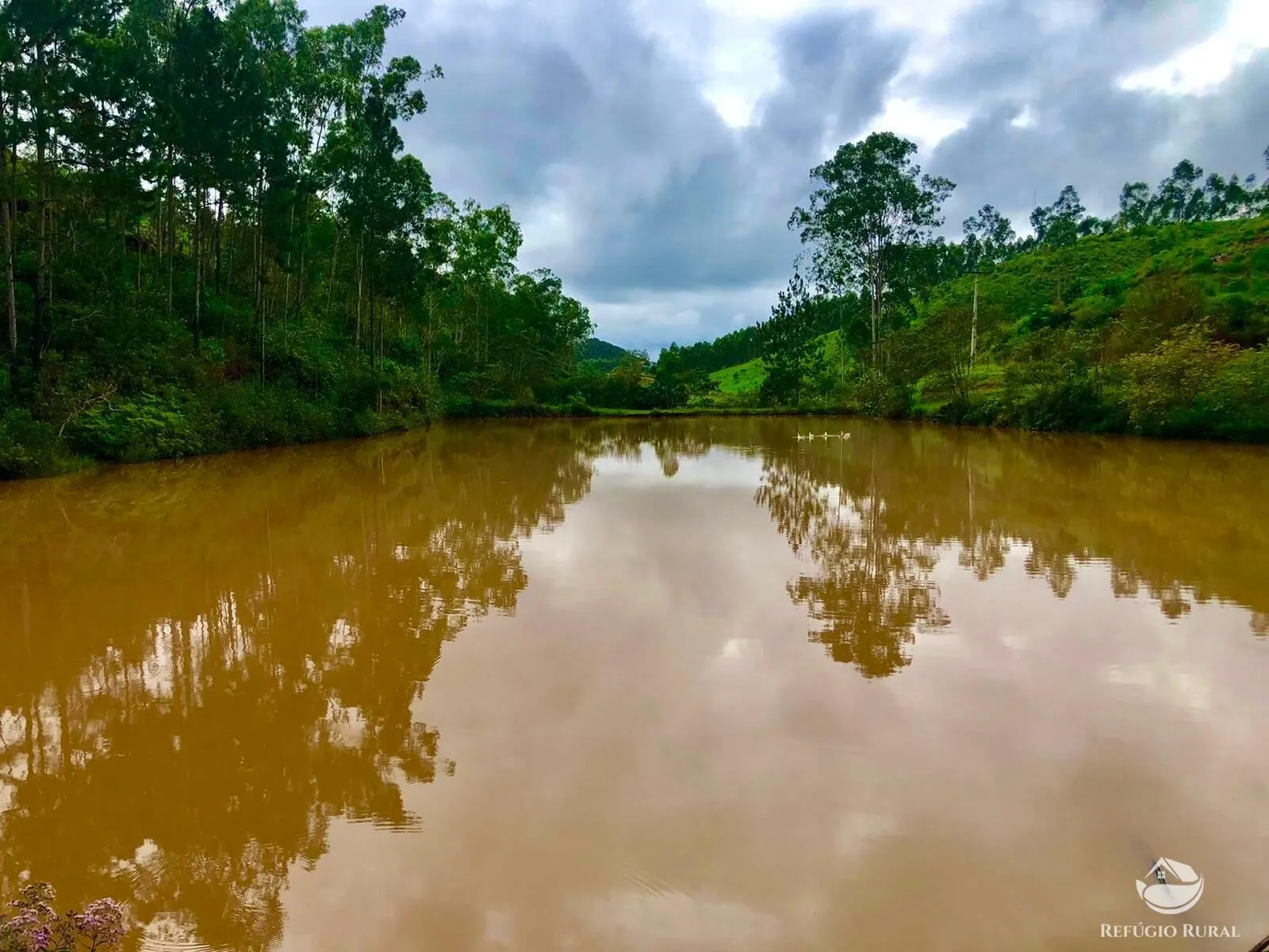 Fazenda à venda de 171 ha em Igaratá, SP, Brasil