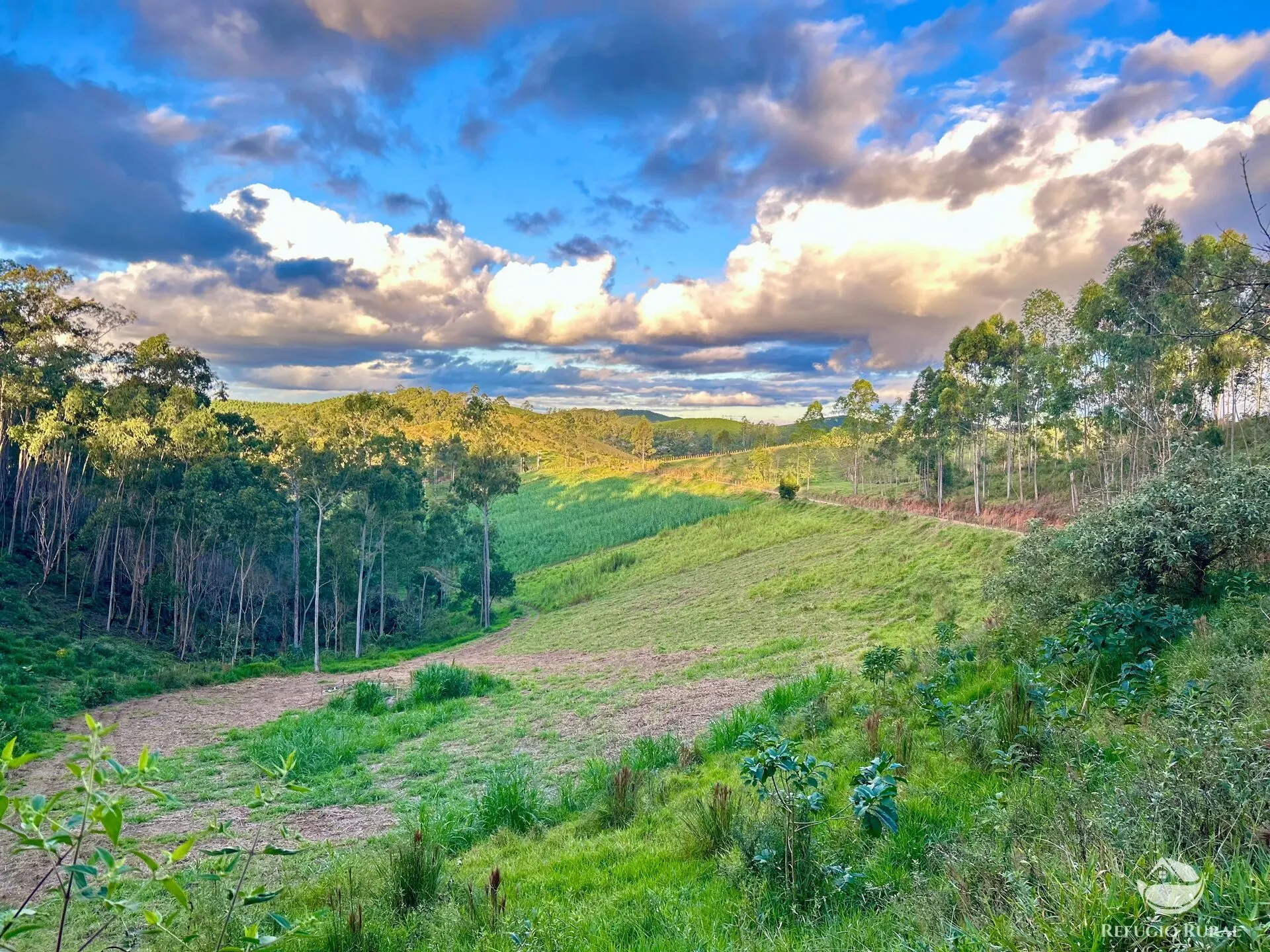 Fazenda à venda de 171 ha em Igaratá, SP, Brasil