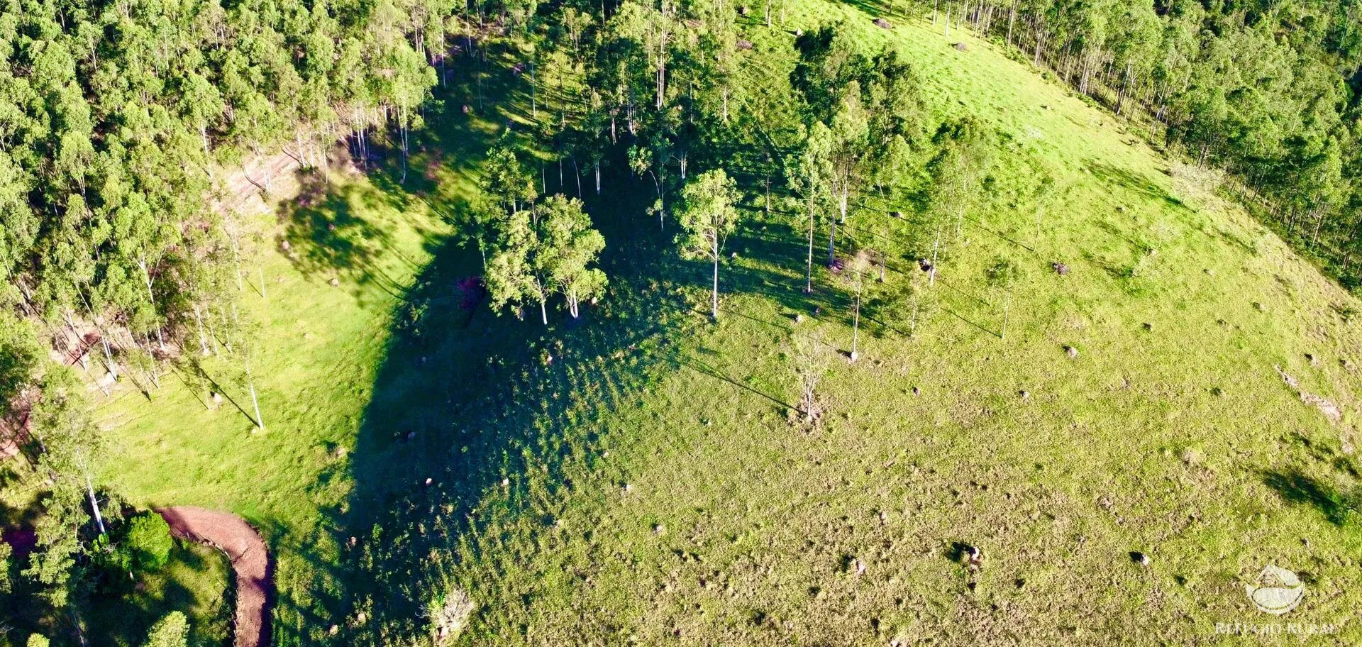 Fazenda à venda de 171 ha em Igaratá, SP, Brasil