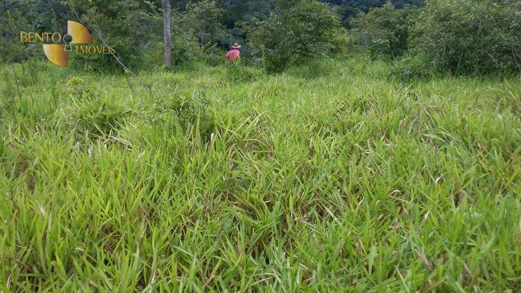 Fazenda à venda de 1.750 ha em Nova Brasilândia, MT, Brasil