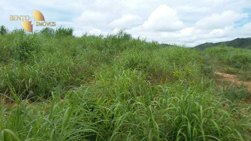 Fazenda à venda de 1.750 ha em Nova Brasilândia, MT, Brasil