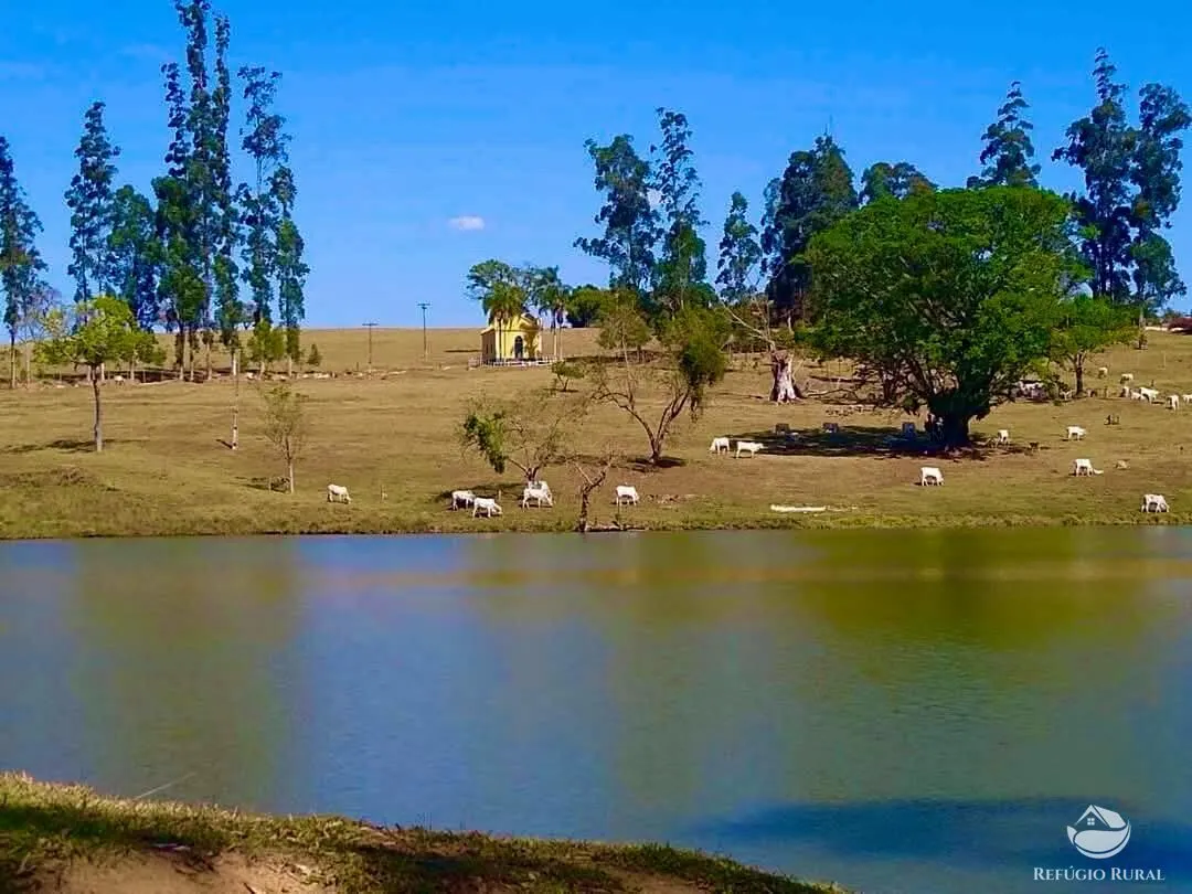 Fazenda à venda de 301 ha em Itatiba, SP, Brasil
