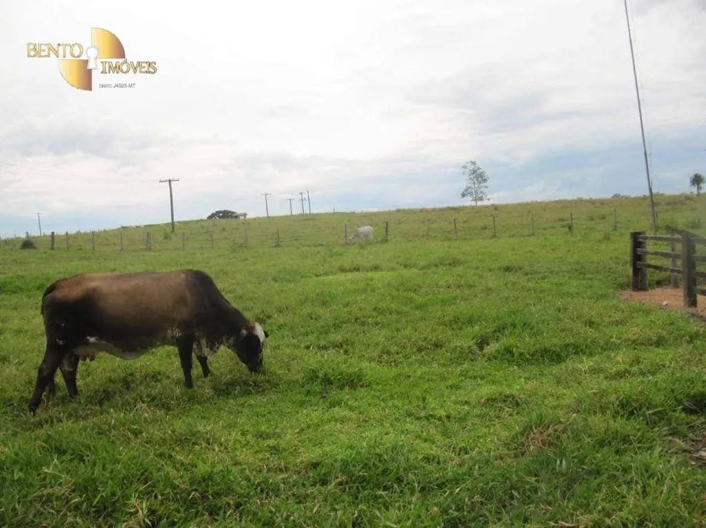 Fazenda à venda de 2.541 ha em Pontes e Lacerda, MT, Brasil