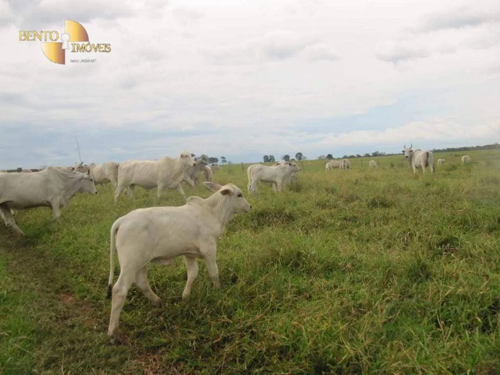 Fazenda à venda de 2.541 ha em Pontes e Lacerda, MT, Brasil
