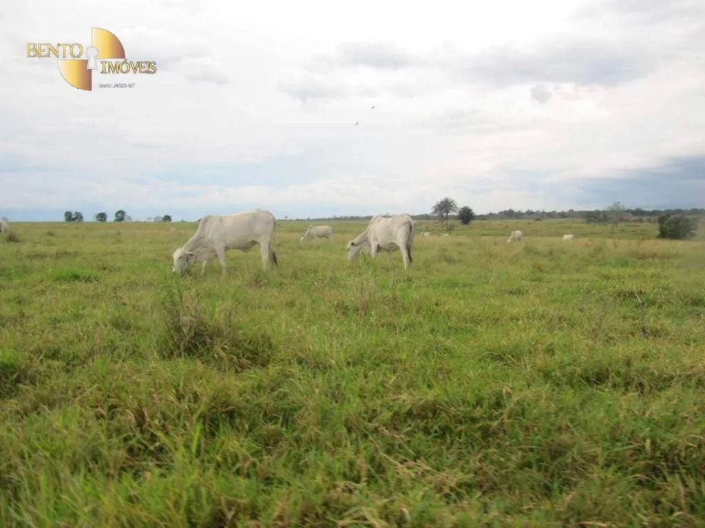Fazenda à venda de 2.541 ha em Pontes e Lacerda, MT, Brasil