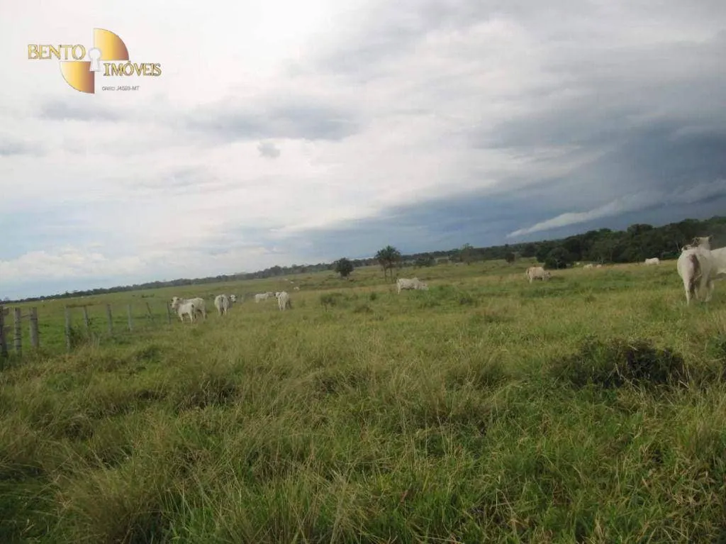 Fazenda à venda de 2.541 ha em Pontes e Lacerda, MT, Brasil