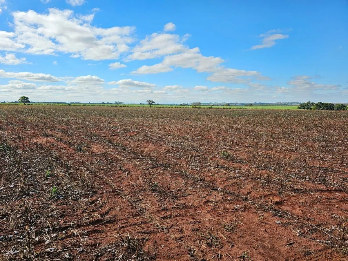 Fazenda à venda de 60 ha em Presidente Prudente, SP, Brasil