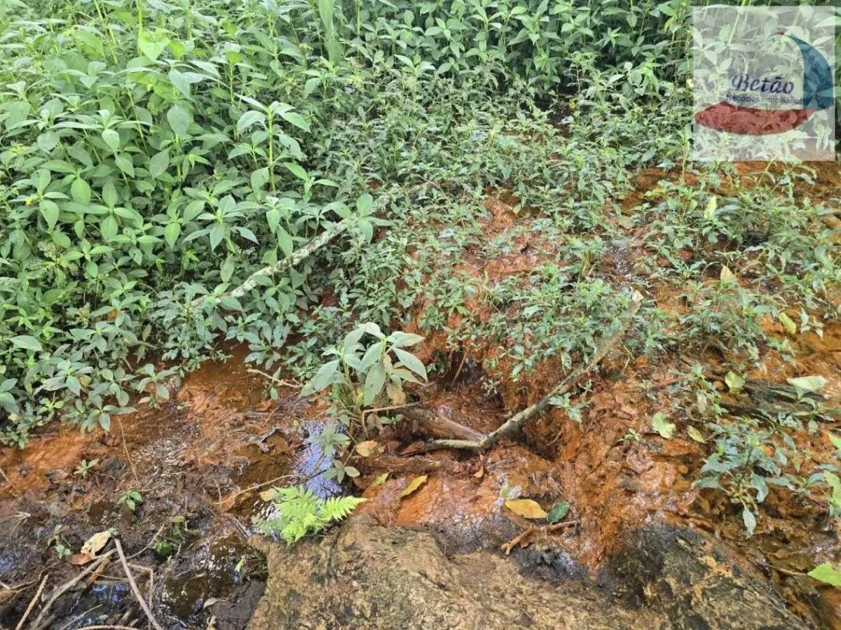 Sítio à venda de 12 ha em Águas da Prata, SP, Brasil