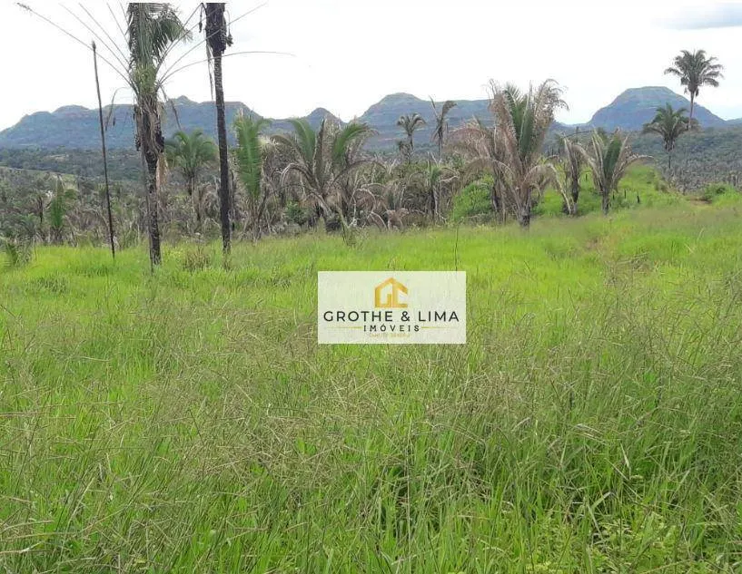 Fazenda à venda de 2.812 ha em Recursolândia, TO, Brasil