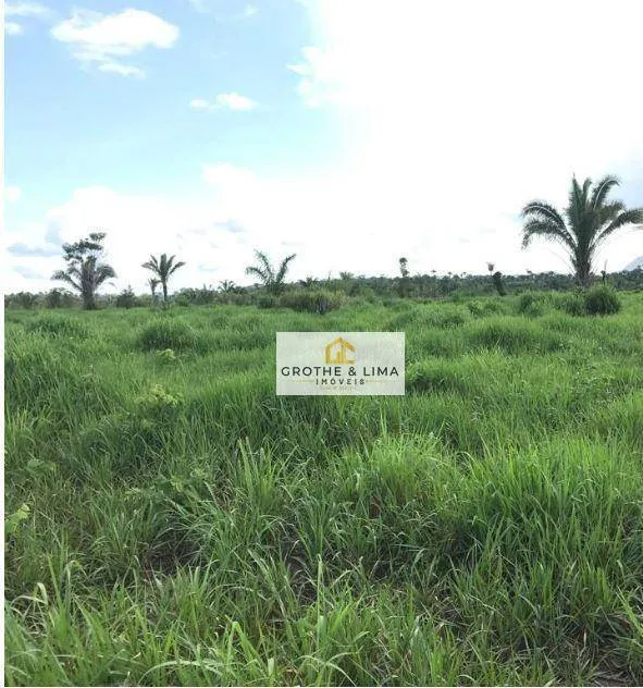 Fazenda à venda de 2.812 ha em Recursolândia, TO, Brasil