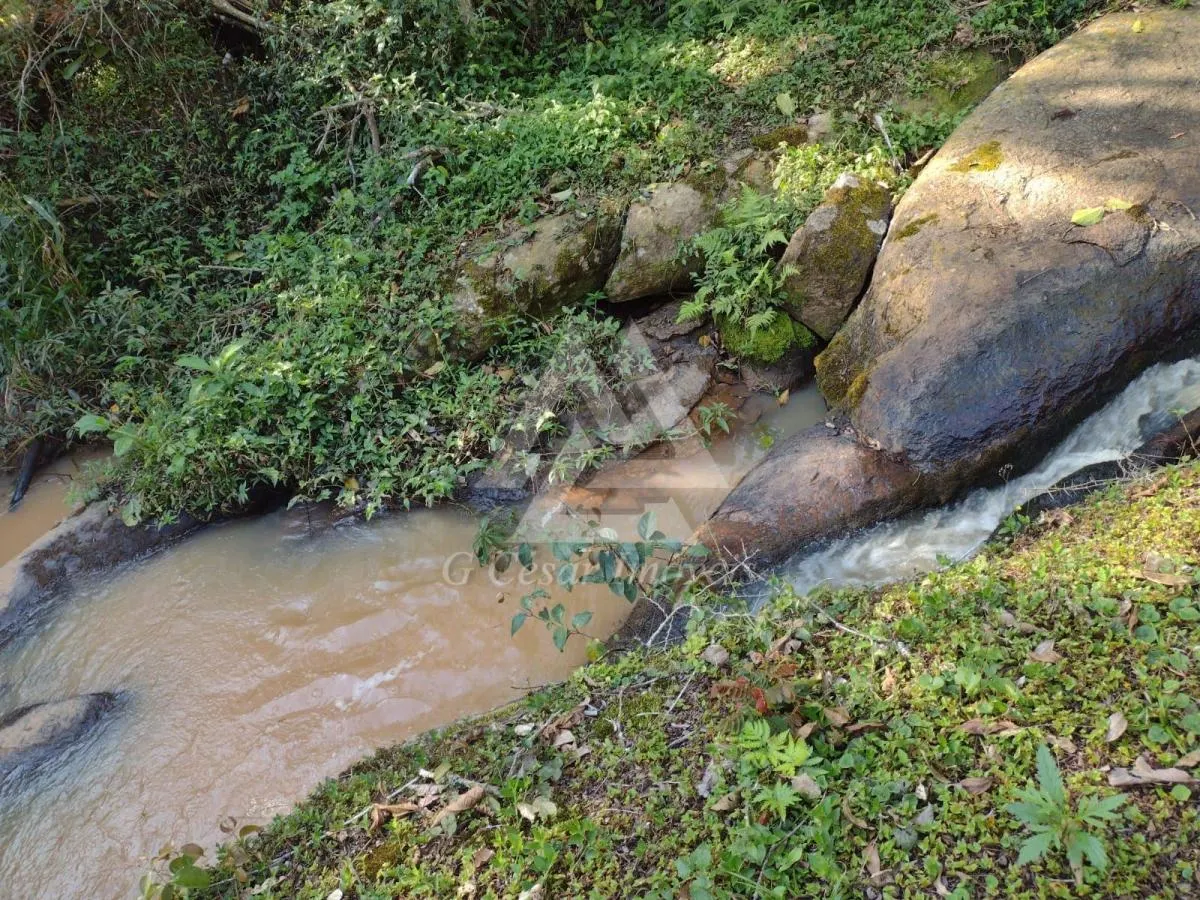 Sítio à venda de 5 ha em Piedade, SP, Brasil