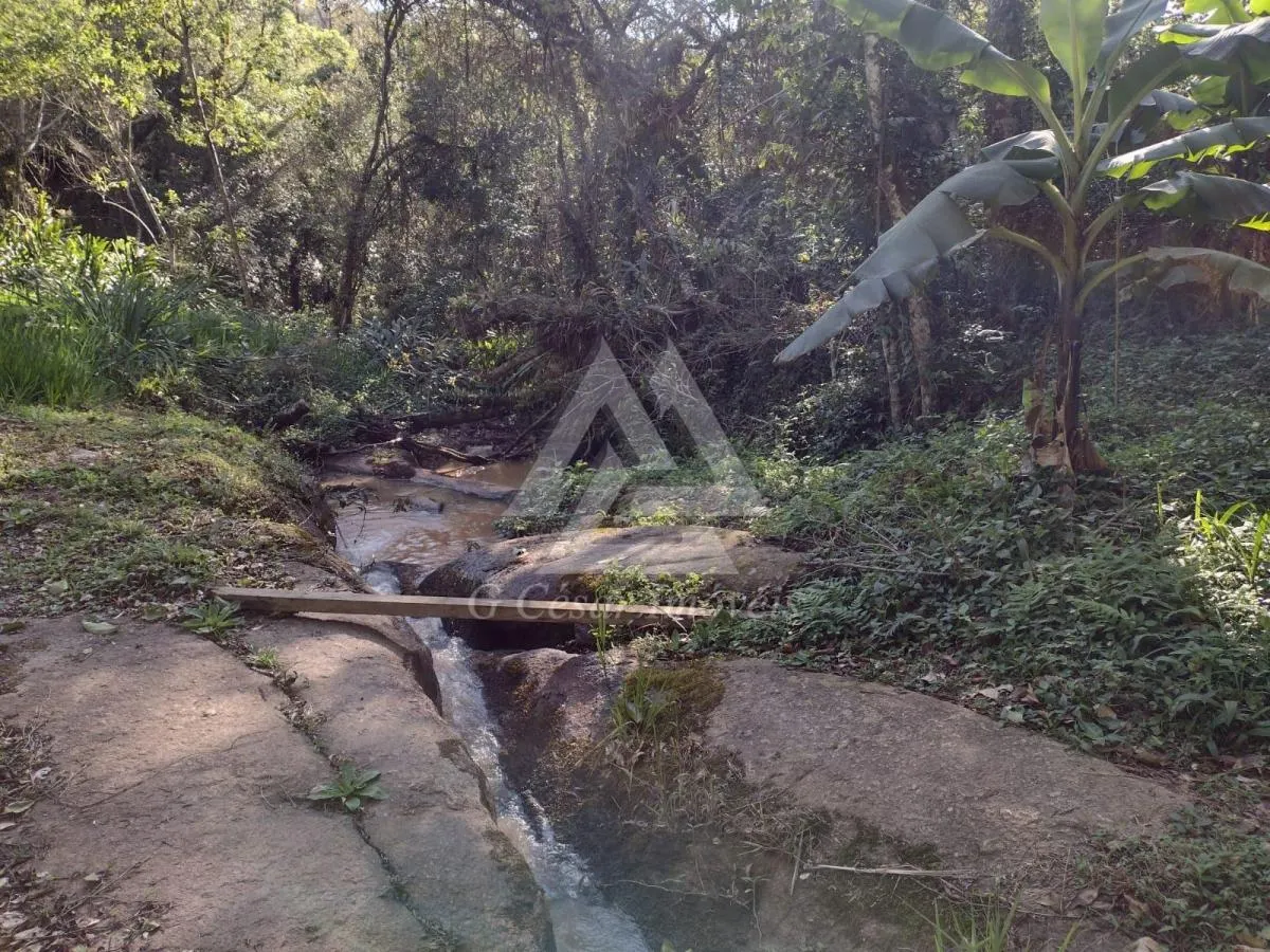 Sítio à venda de 5 ha em Piedade, SP, Brasil