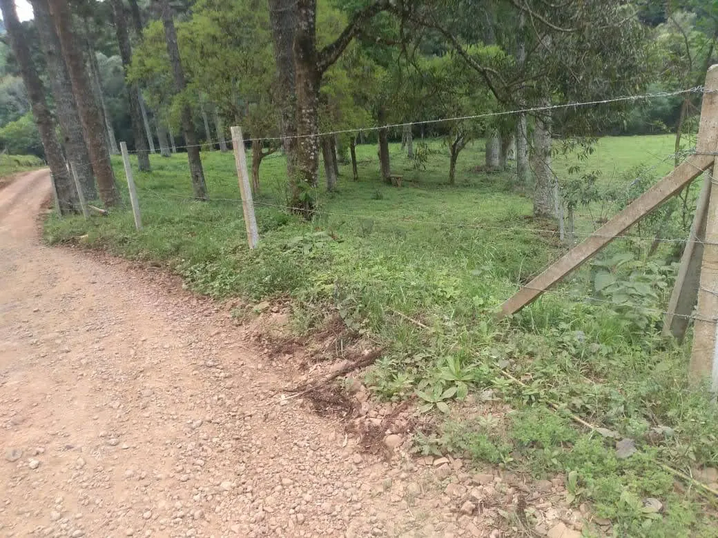 Small farm for sale of 30 acres in David Canabarro, RS, Brazil