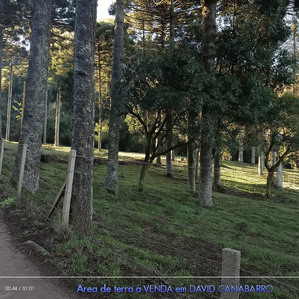 Small farm for sale of 30 acres in David Canabarro, RS, Brazil