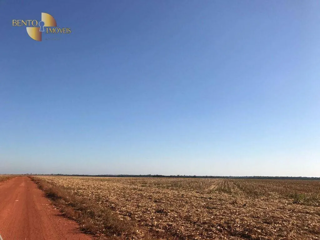 Farm for sale of 19,316 acres in Paranatinga, MT, Brazil