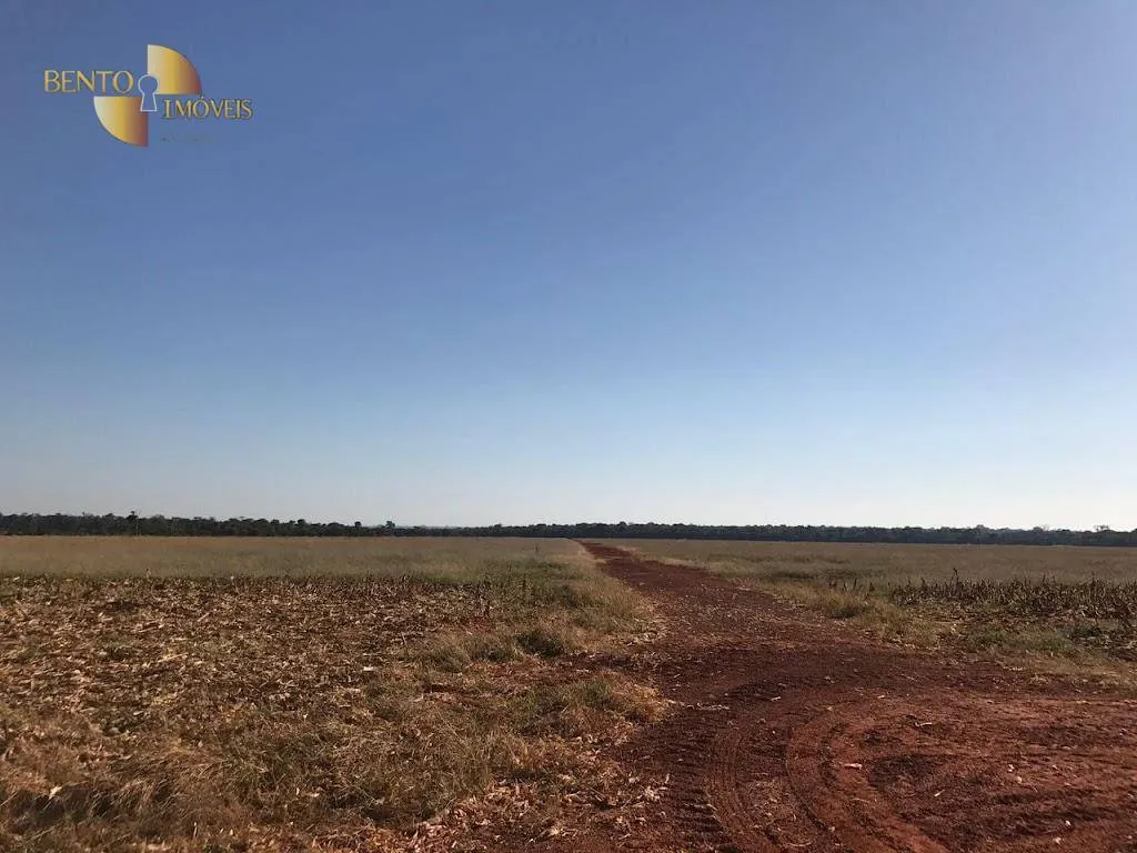 Farm for sale of 19,316 acres in Paranatinga, MT, Brazil