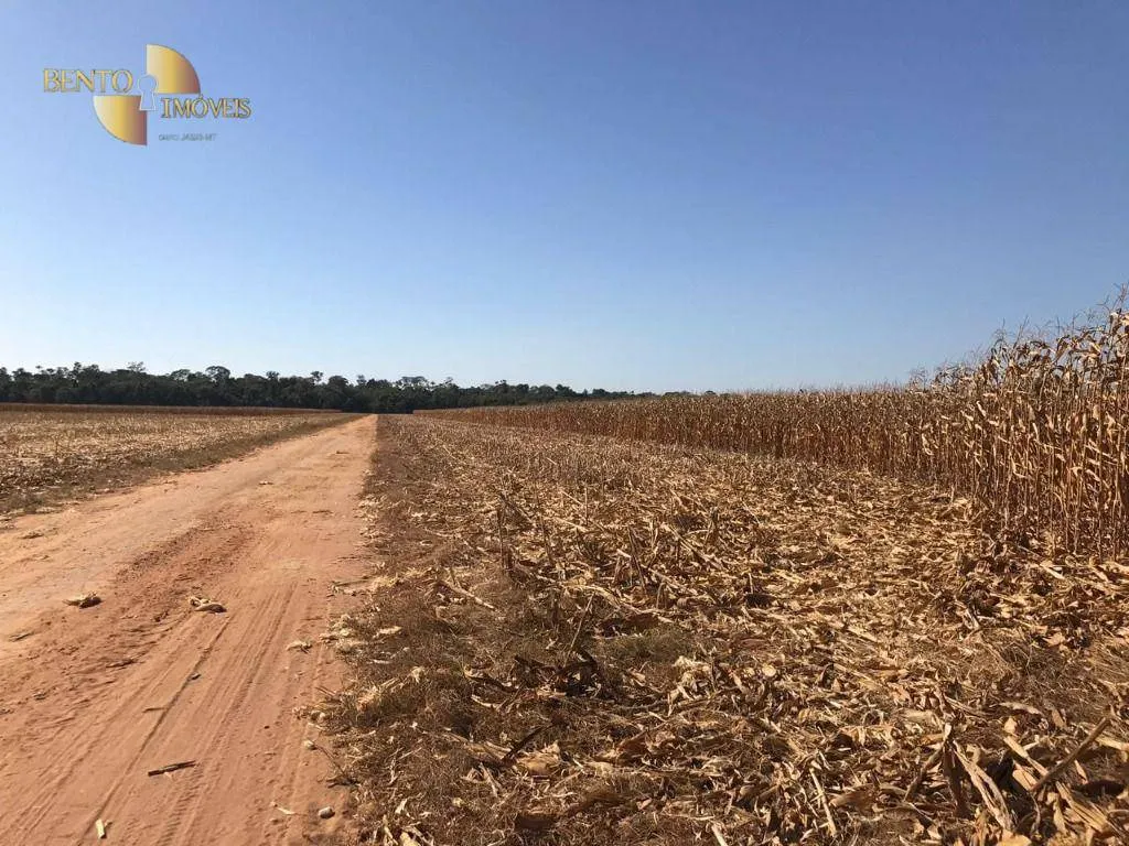 Farm for sale of 19,316 acres in Paranatinga, MT, Brazil