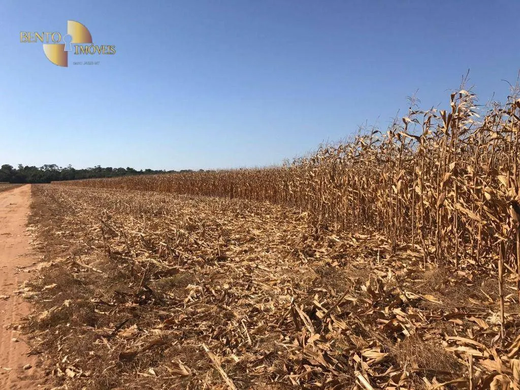 Farm for sale of 19,316 acres in Paranatinga, MT, Brazil