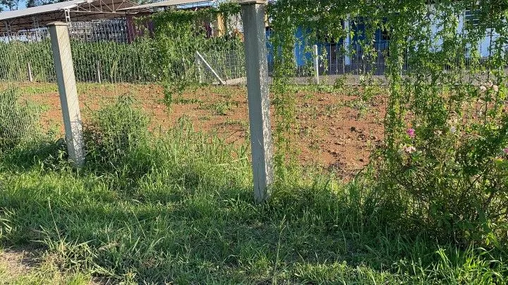 Chácara à venda de 900 m² em Santo Antônio da Patrulha, RS, Brasil