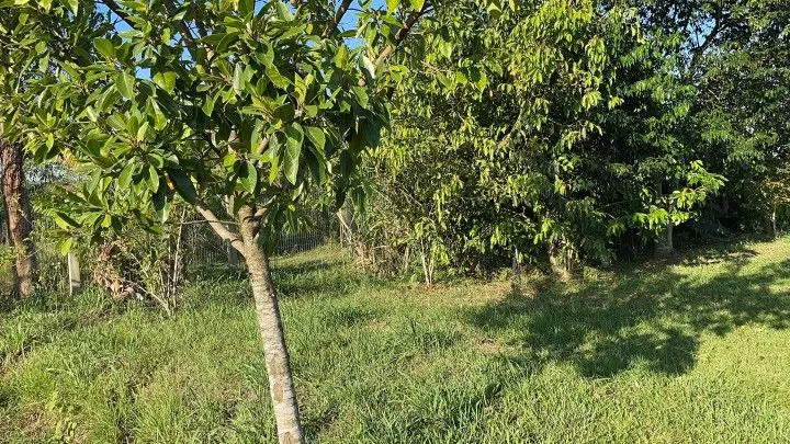 Chácara à venda de 900 m² em Santo Antônio da Patrulha, RS, Brasil