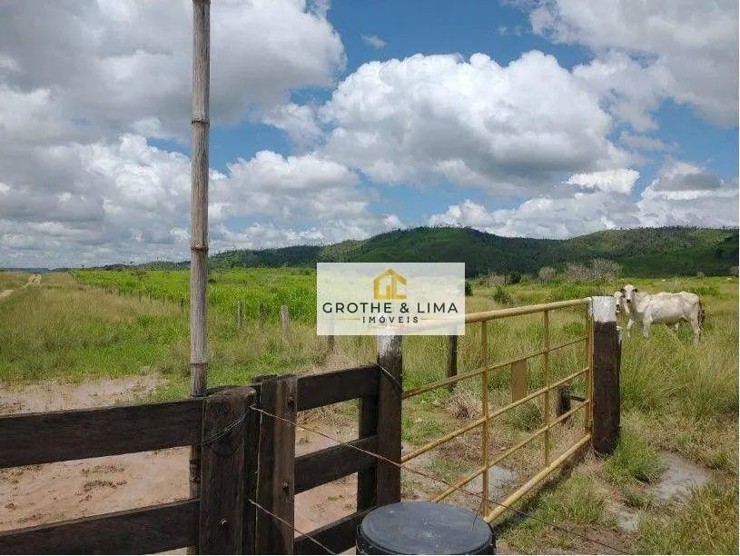 Fazenda à venda de 5.005 ha em São Félix do Xingu, PA, Brasil