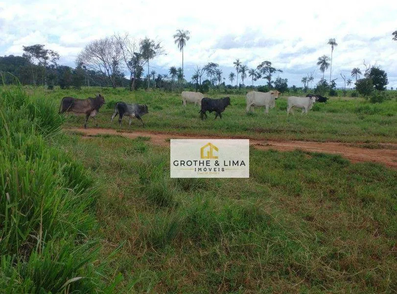 Fazenda à venda de 5.005 ha em São Félix do Xingu, PA, Brasil