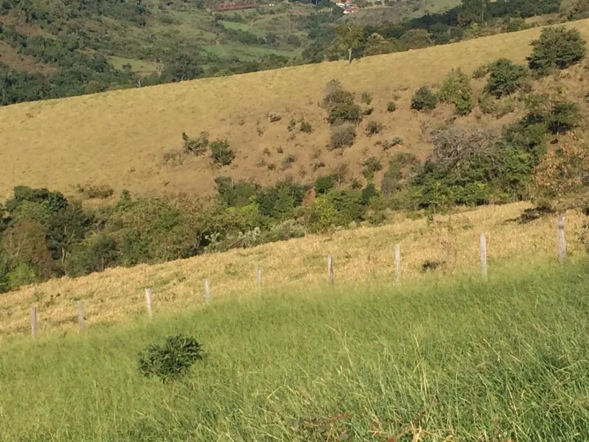 Fazenda à venda de 242 ha em Tapiratiba, SP, Brasil