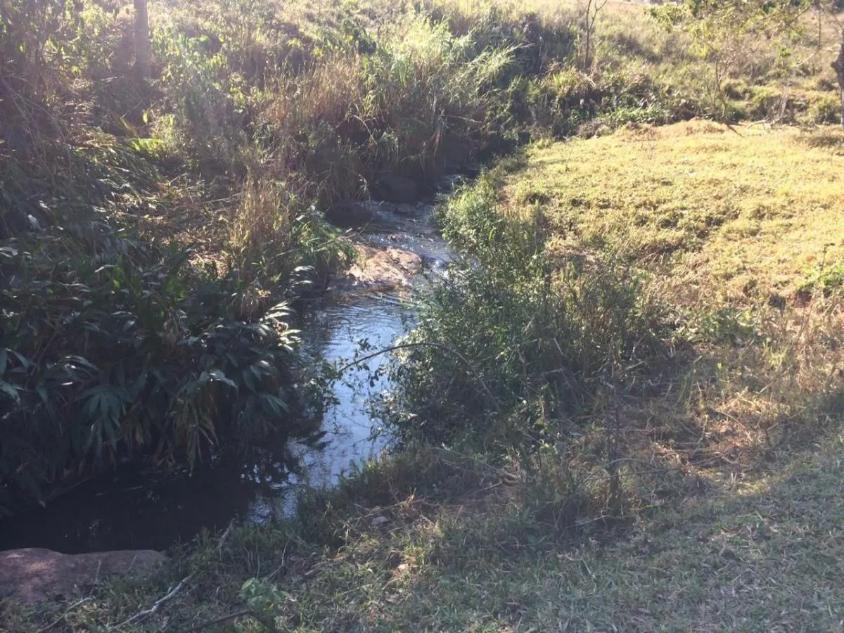 Fazenda à venda de 242 ha em Tapiratiba, SP, Brasil
