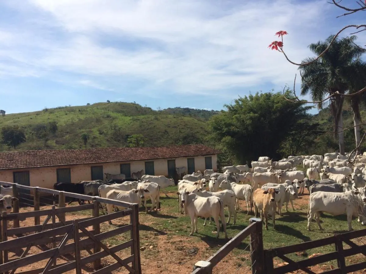 Fazenda à venda de 242 ha em Tapiratiba, SP, Brasil