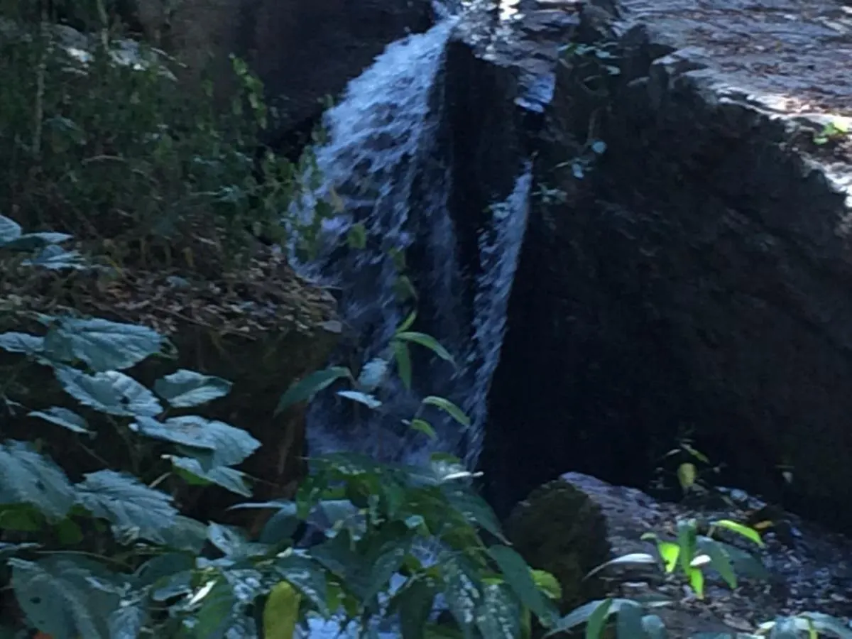 Fazenda à venda de 242 ha em Tapiratiba, SP, Brasil