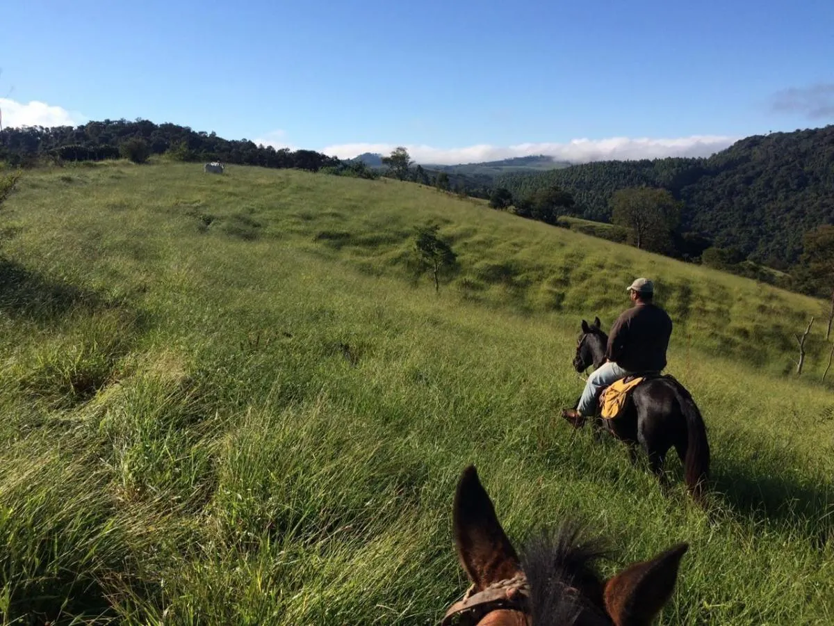 Fazenda à venda de 242 ha em Tapiratiba, SP, Brasil