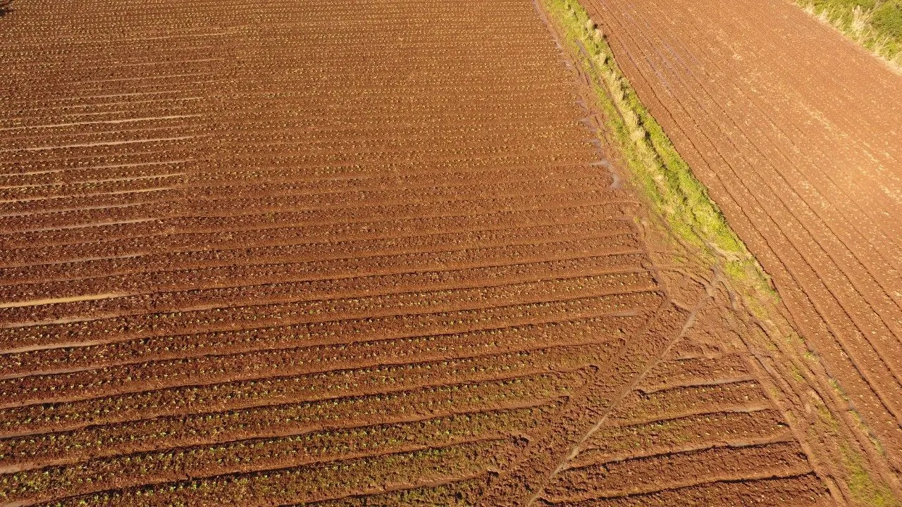Plot for sale of 20 acres in Caraá, RS, Brazil
