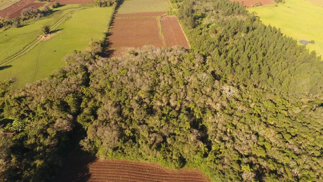 Plot for sale of 20 acres in Caraá, RS, Brazil