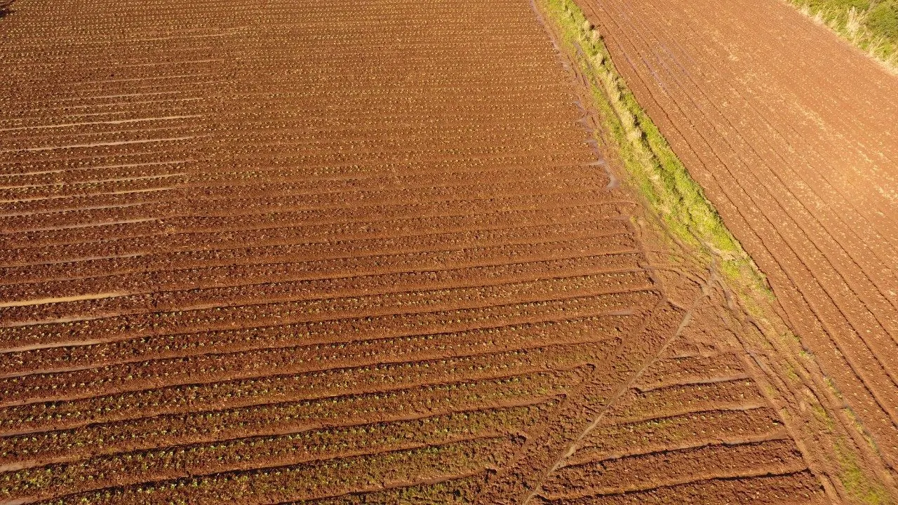 Plot for sale of 20 acres in Caraá, RS, Brazil