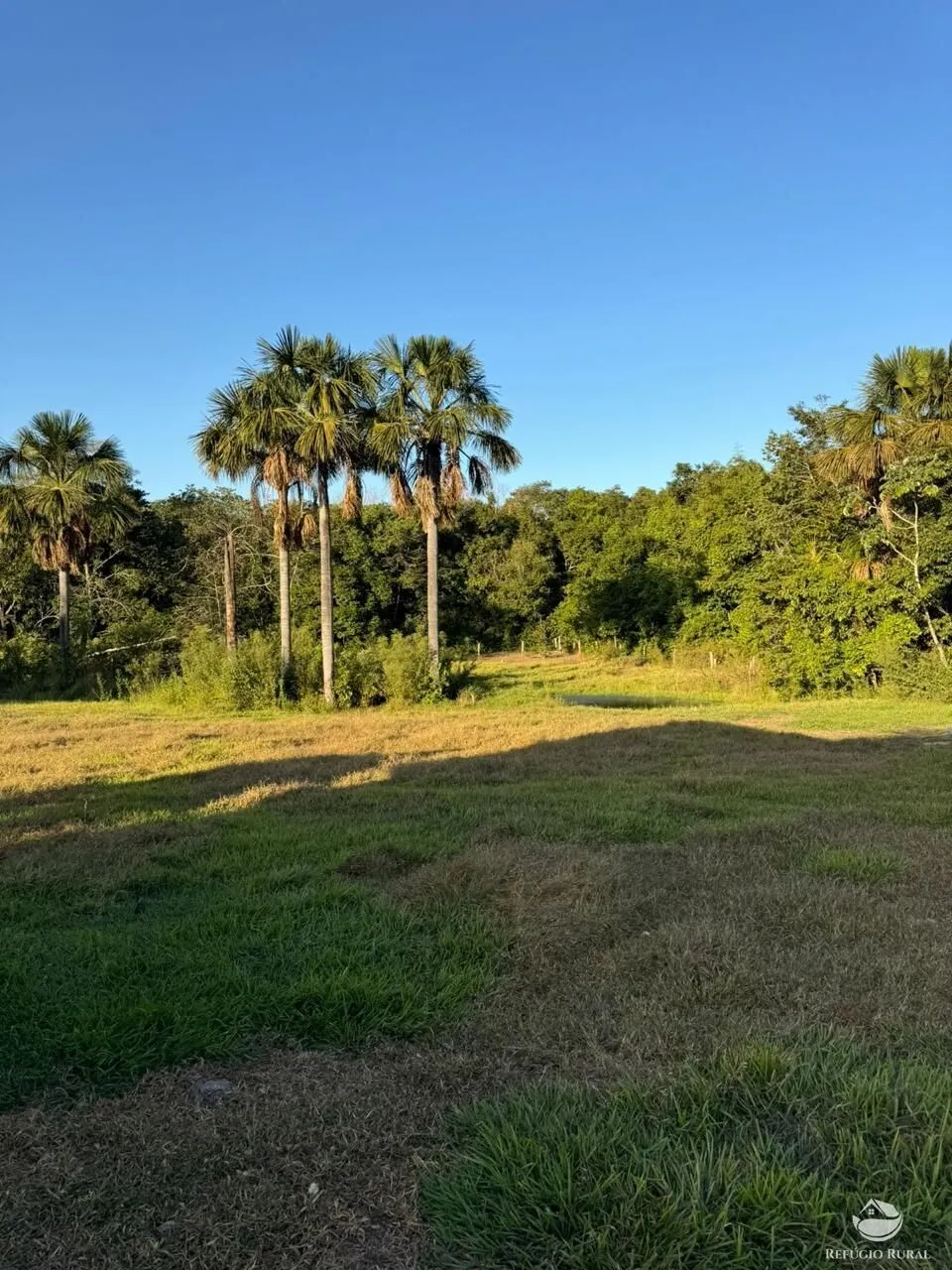 Fazenda à venda de 1.490 ha em Coxim, MS, Brasil