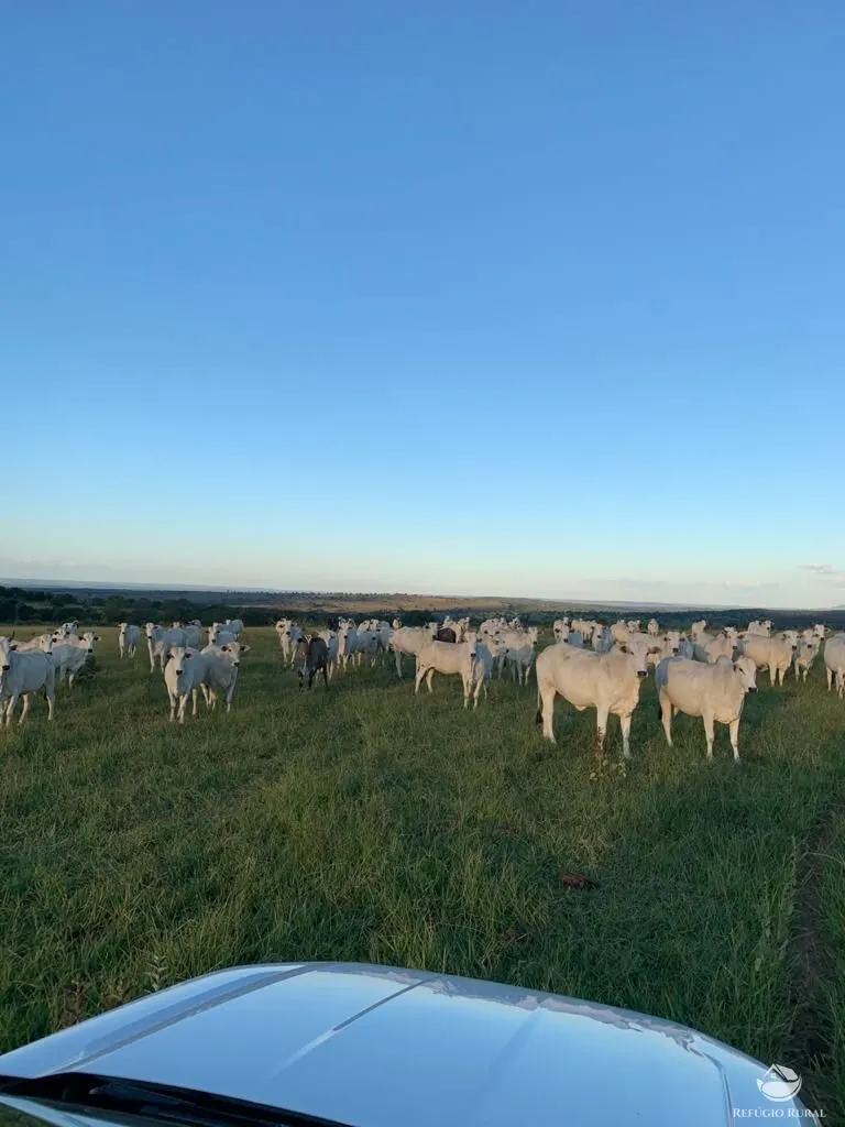 Fazenda à venda de 1.490 ha em Coxim, MS, Brasil