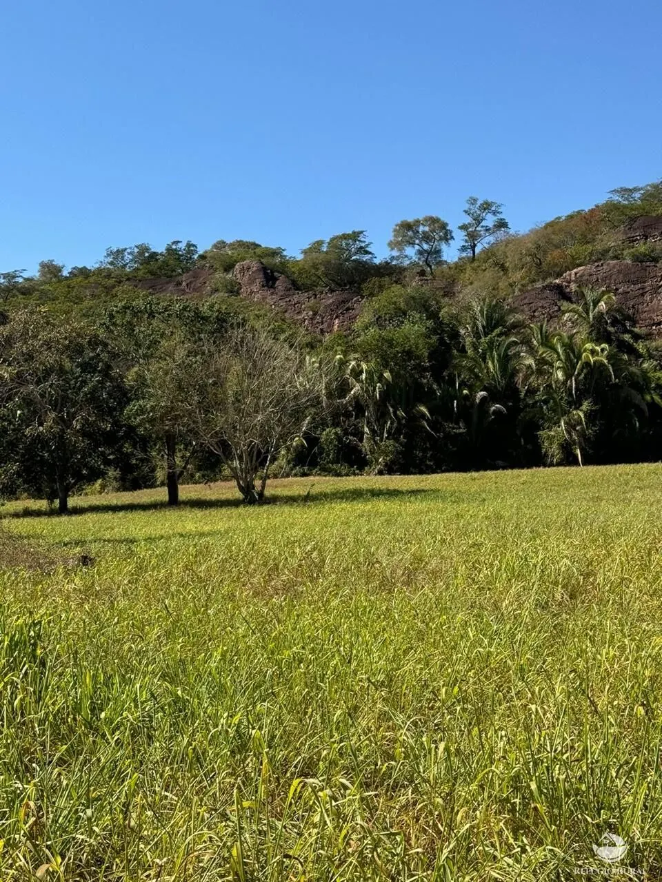 Fazenda à venda de 1.490 ha em Coxim, MS, Brasil
