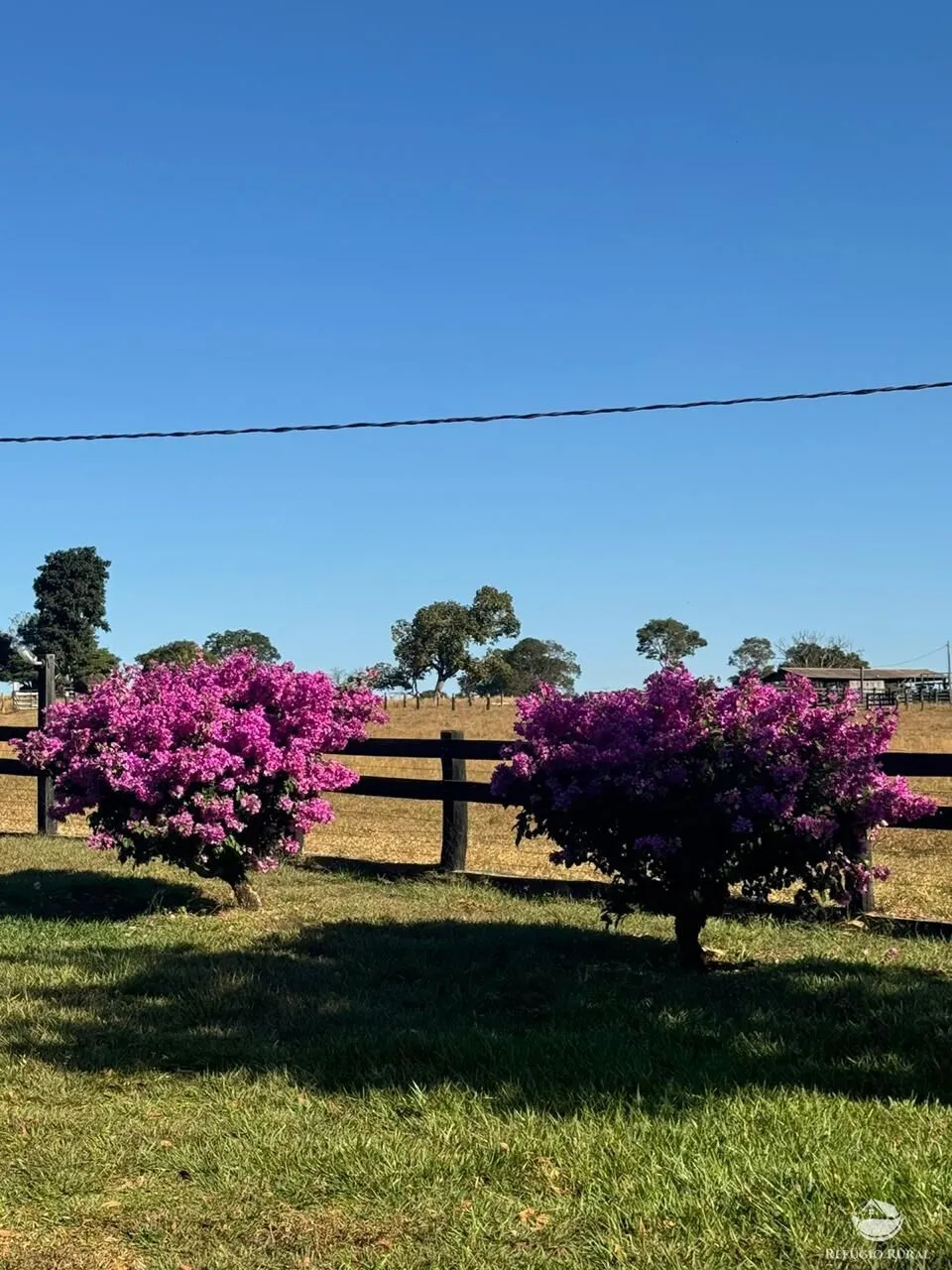 Fazenda à venda de 1.490 ha em Coxim, MS, Brasil