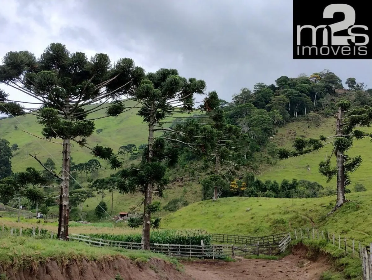 Sítio à venda de 12 ha em Cunha, SP, Brasil