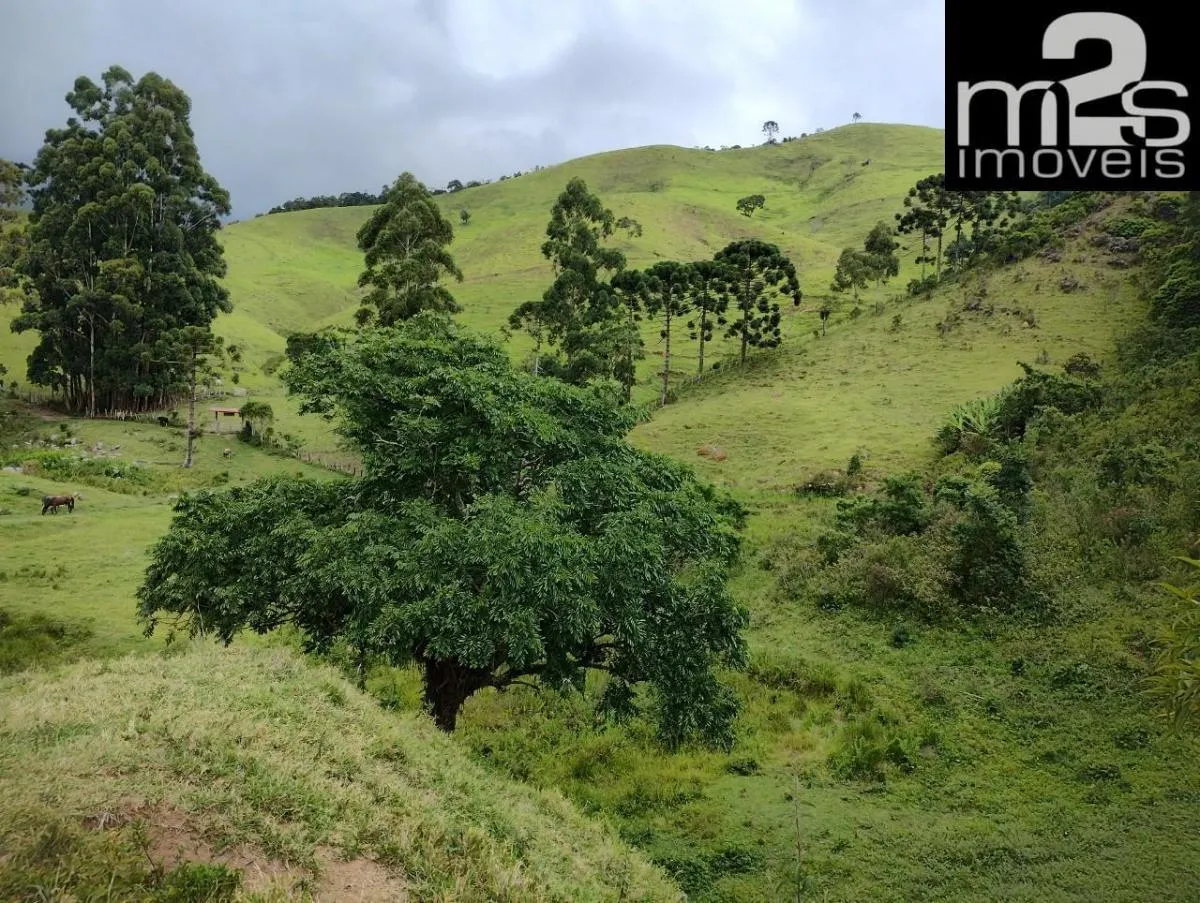 Sítio à venda de 12 ha em Cunha, SP, Brasil