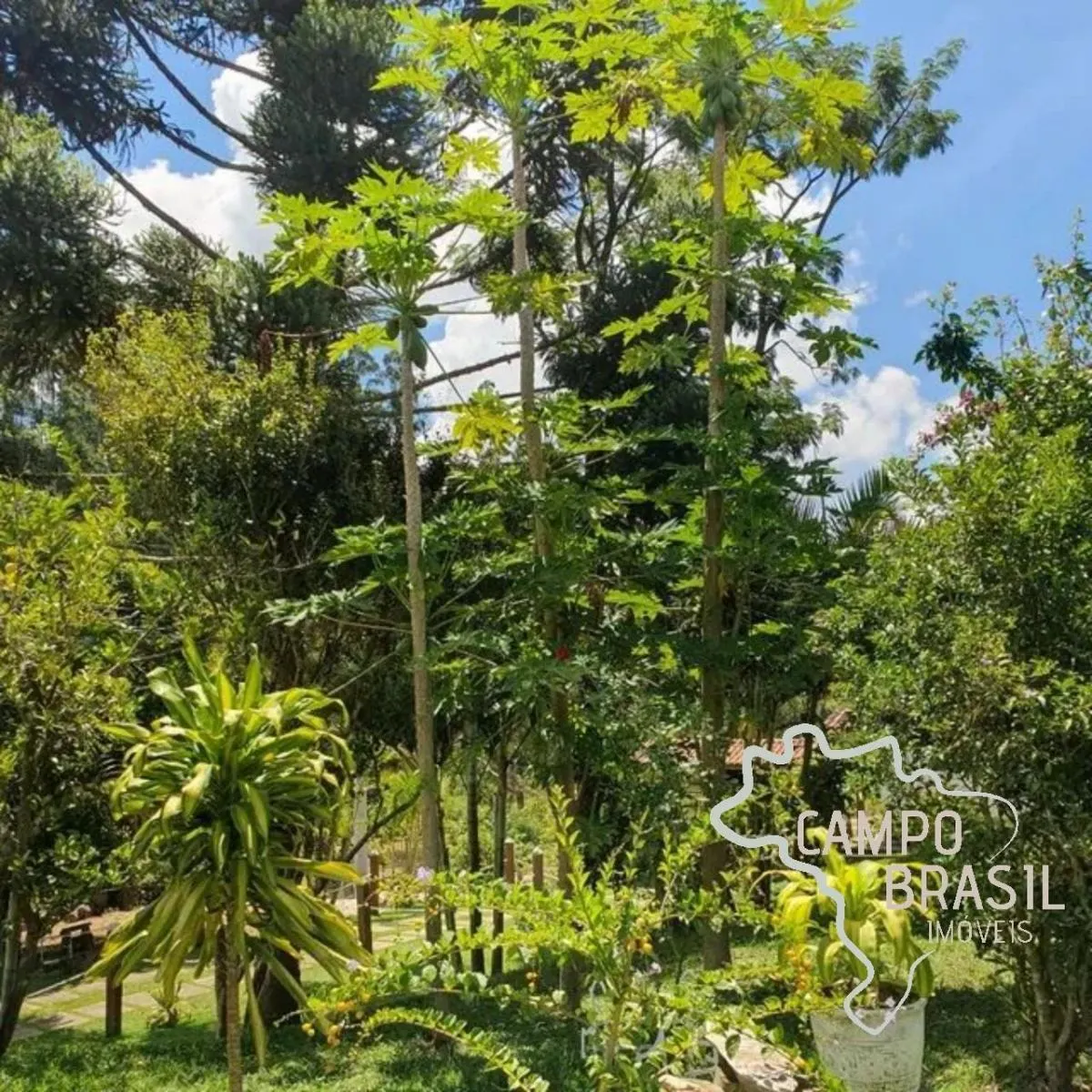 Sítio à venda de 7 ha em Natividade da Serra, SP, Brasil