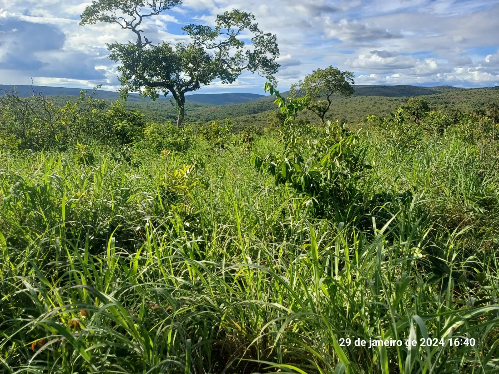 Fazenda à venda de 376 ha em Salinas, MG, Brasil